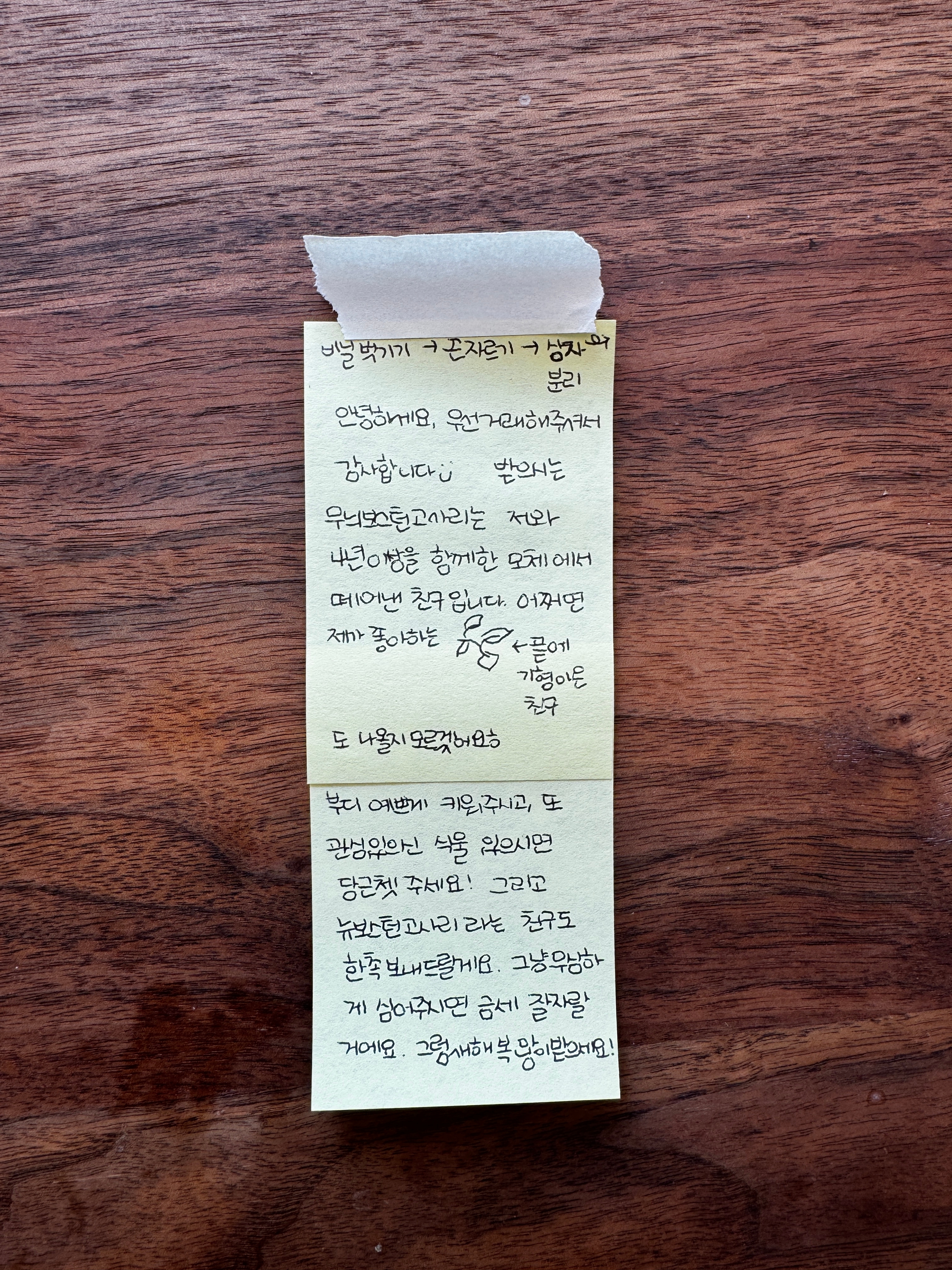 식집사마켓 이미지