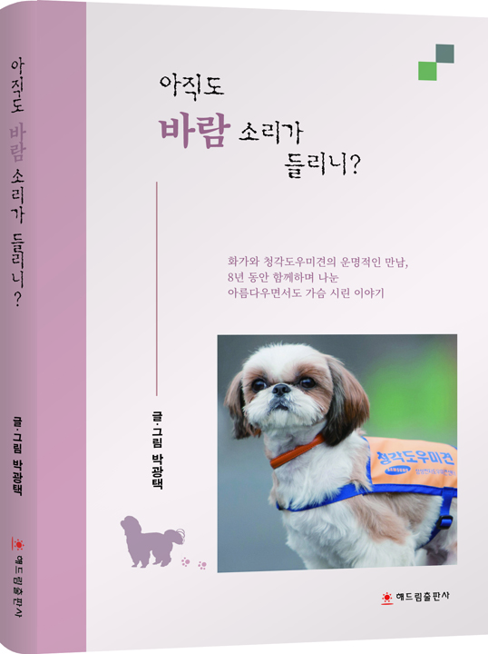 해드림펜션 이미지
