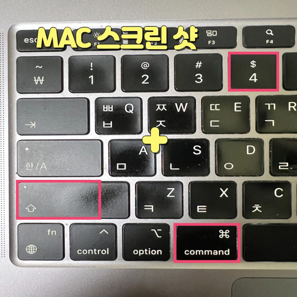 작은손톱 이미지