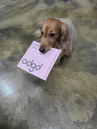 odagada 끄적끄적