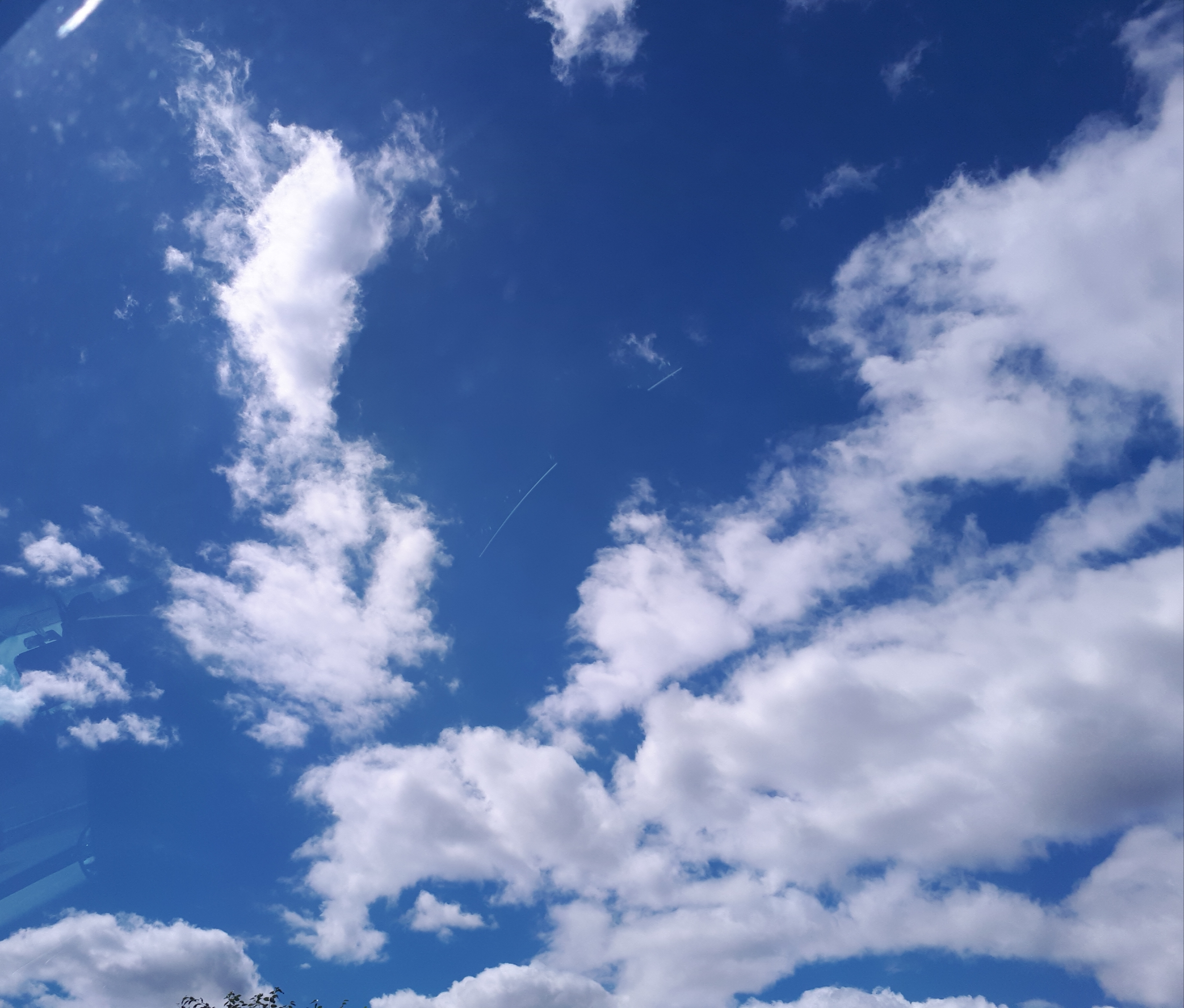 블루레모네이드