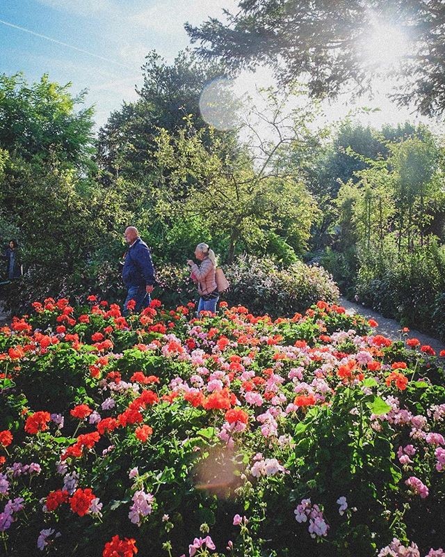 난누구여긴어디