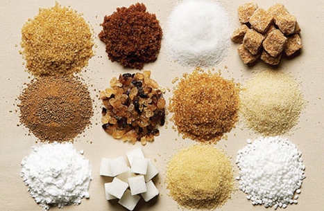 걷기 철학자의 사유