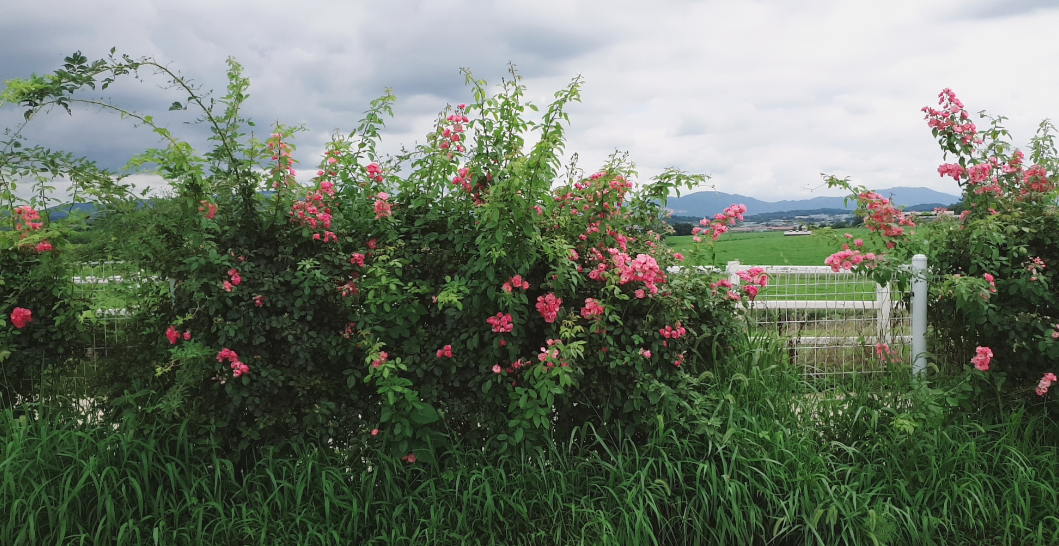공상을즐기는여인