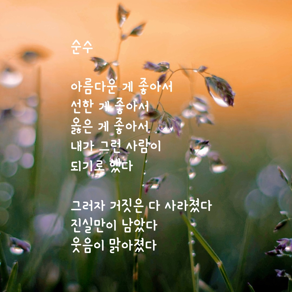 순수
