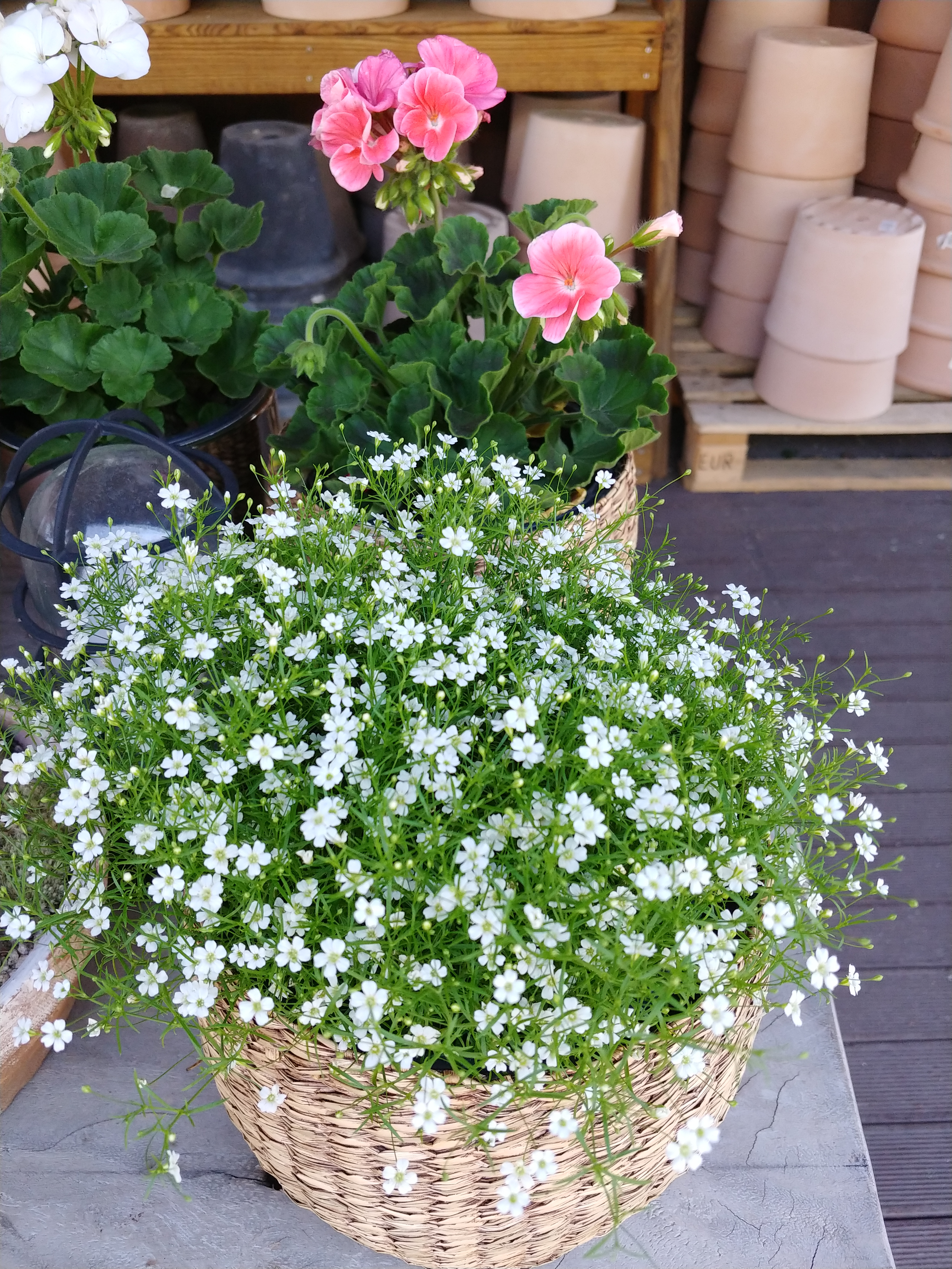 윤상희도희도경