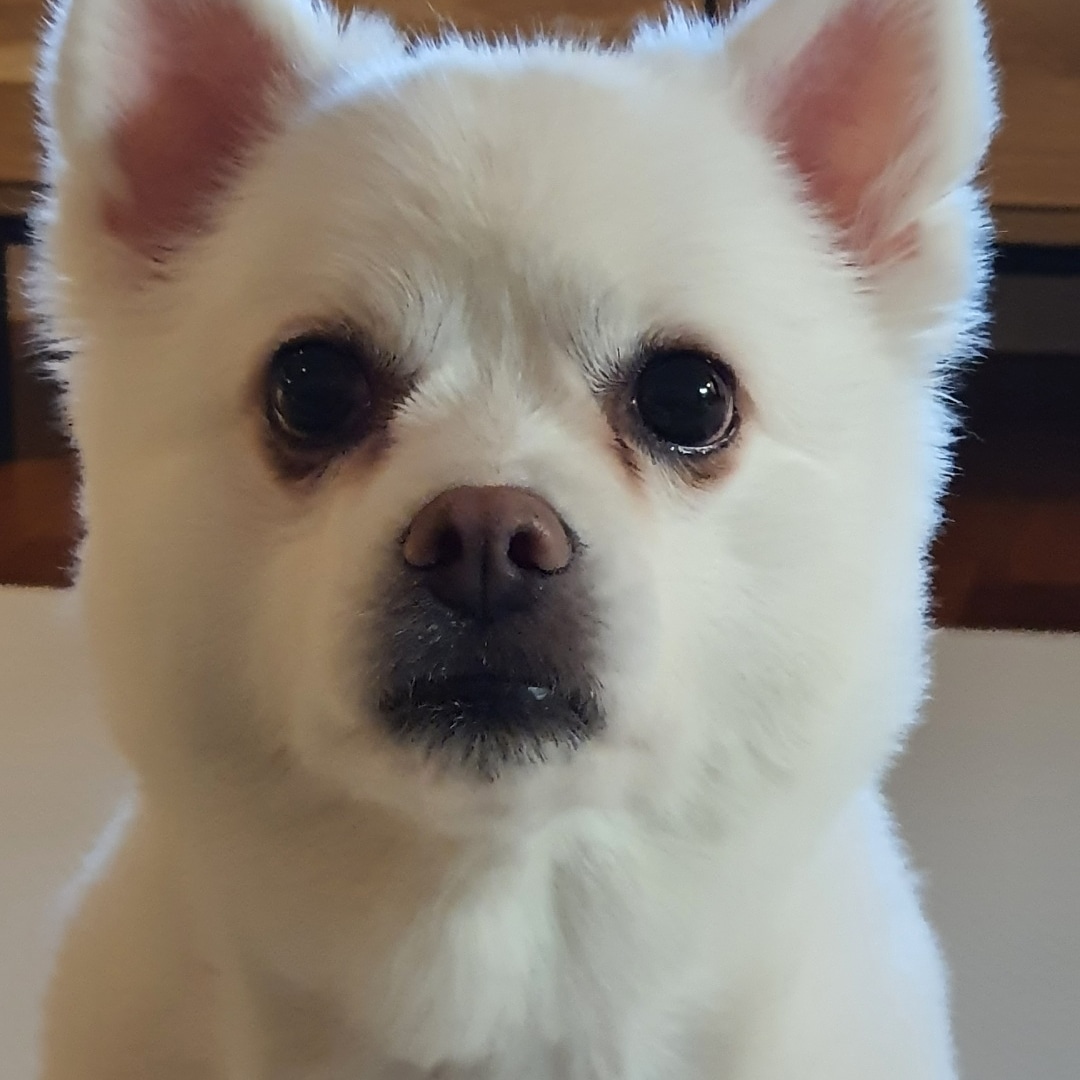 브랜드 만들기 프로젝트