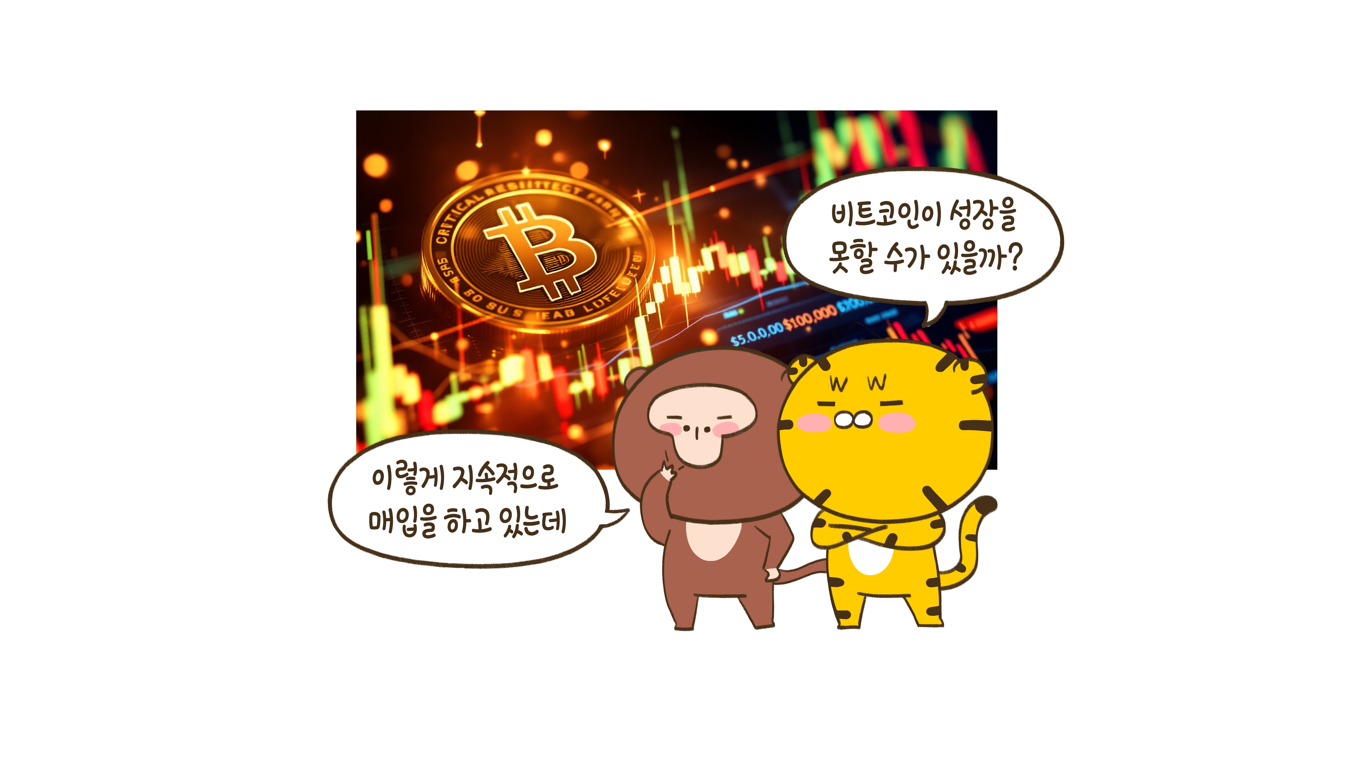 비트코인을 대량으로 매입하는 기업들