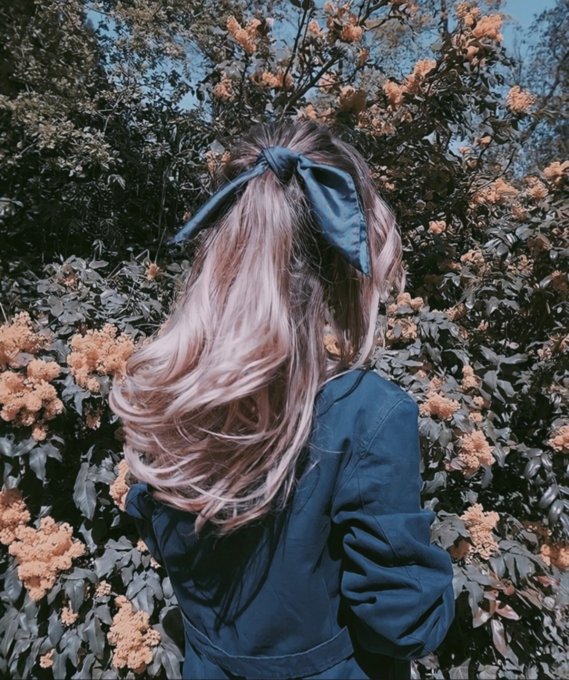 우연처럼 다가와