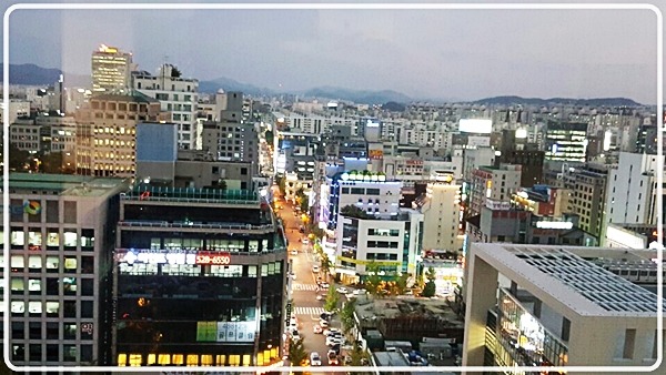 초록잎새 이미지
