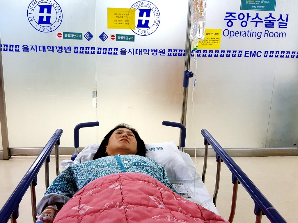 초록잎새 이미지