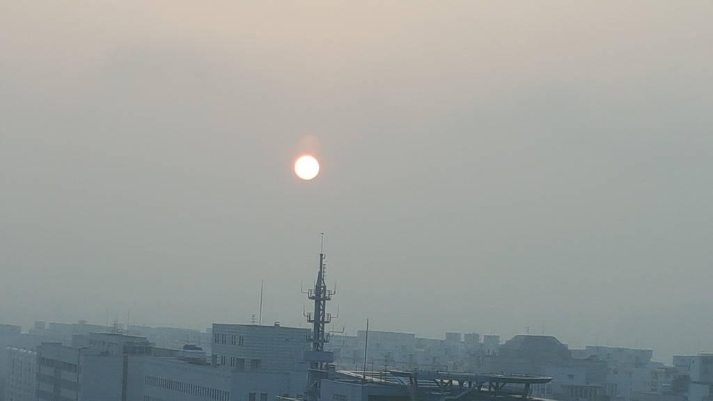 초록잎새 이미지