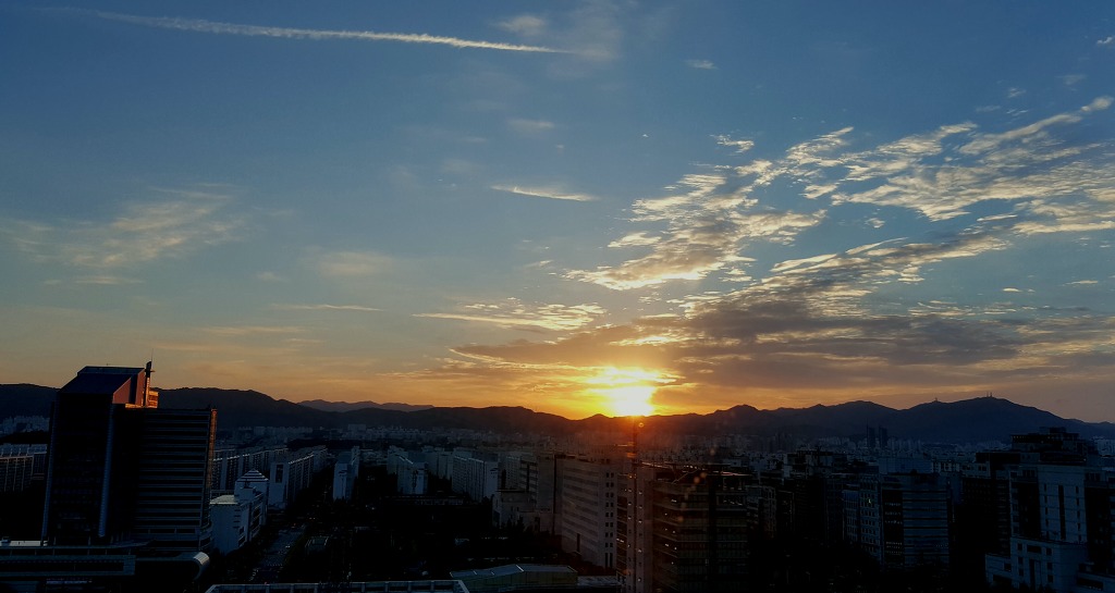 초록잎새 이미지
