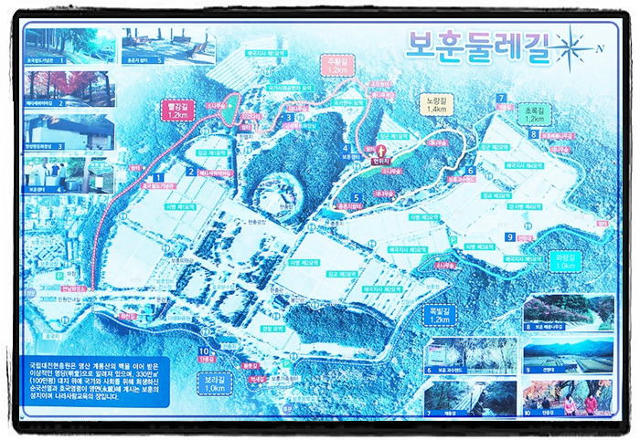 초록잎새 이미지