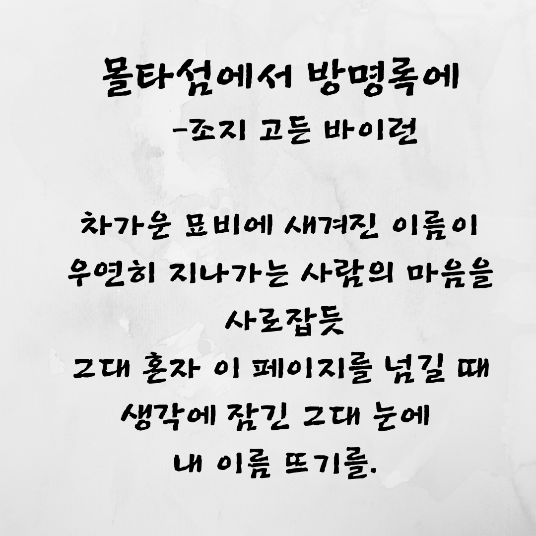 밤의감각 이미지