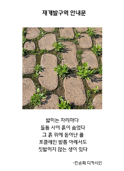 진순희 이미지