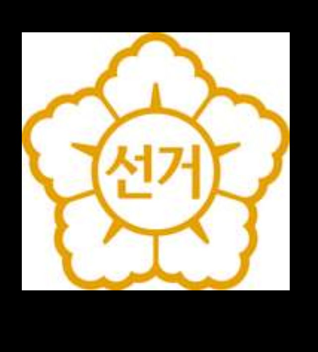 좌충우돌시의원도전기