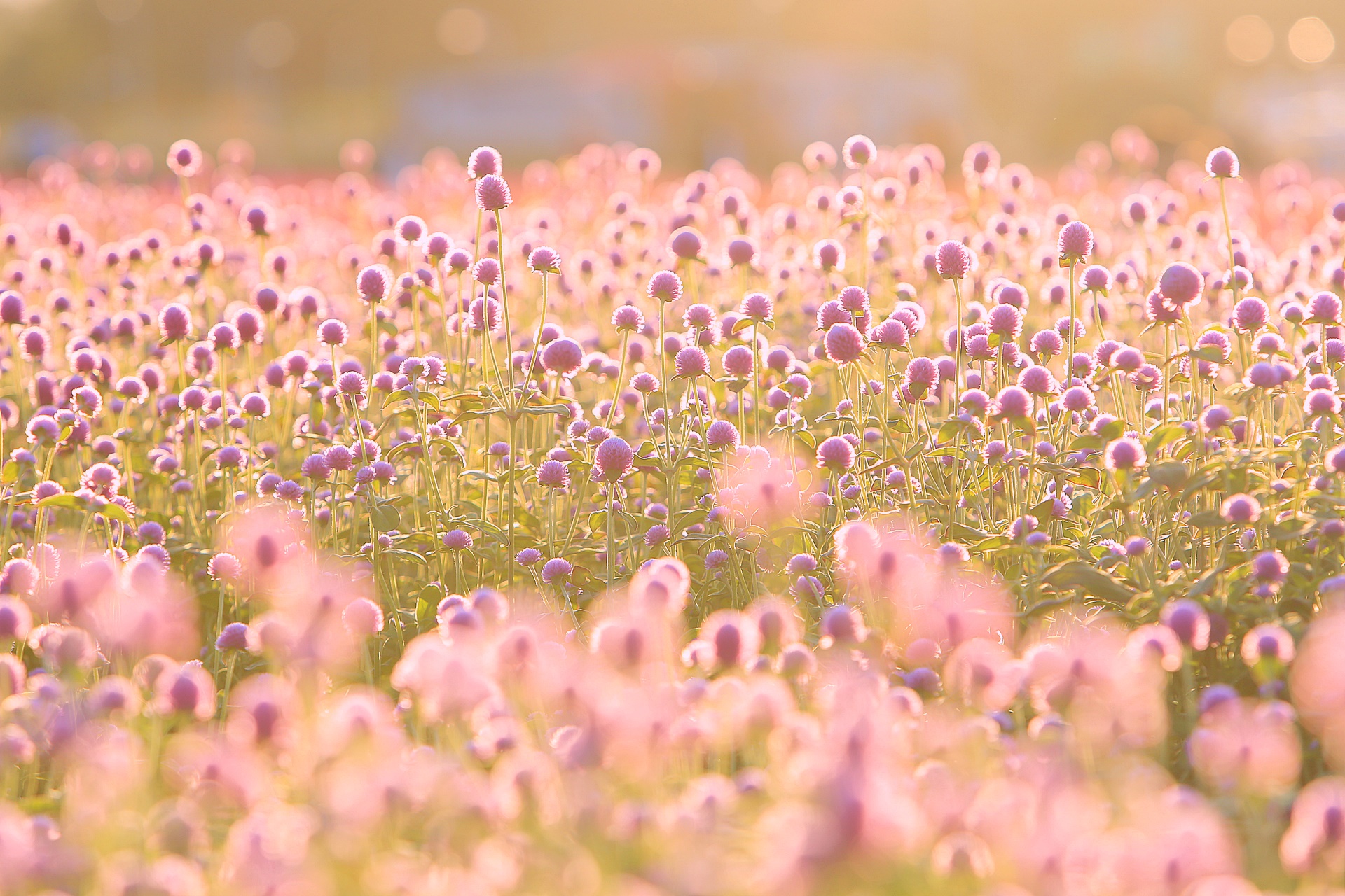 여기서 행복할 것