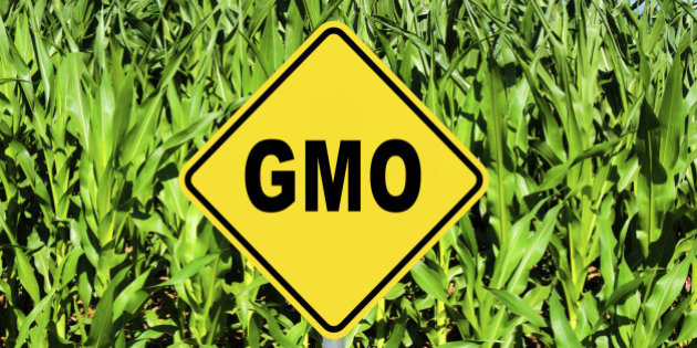 D+18 유전자 변형 농산물(GMO)에 대해서