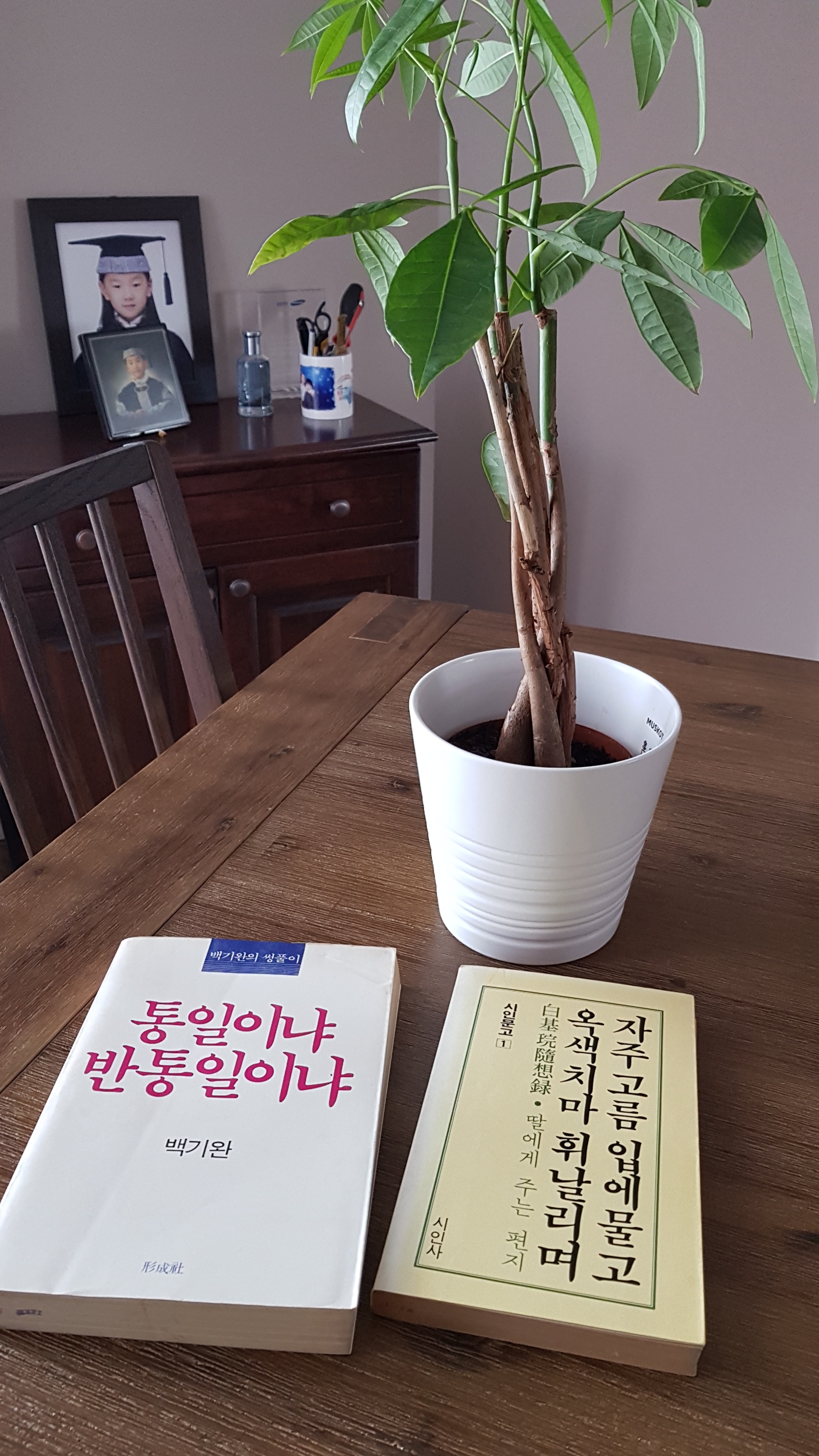 자주고름 이미지