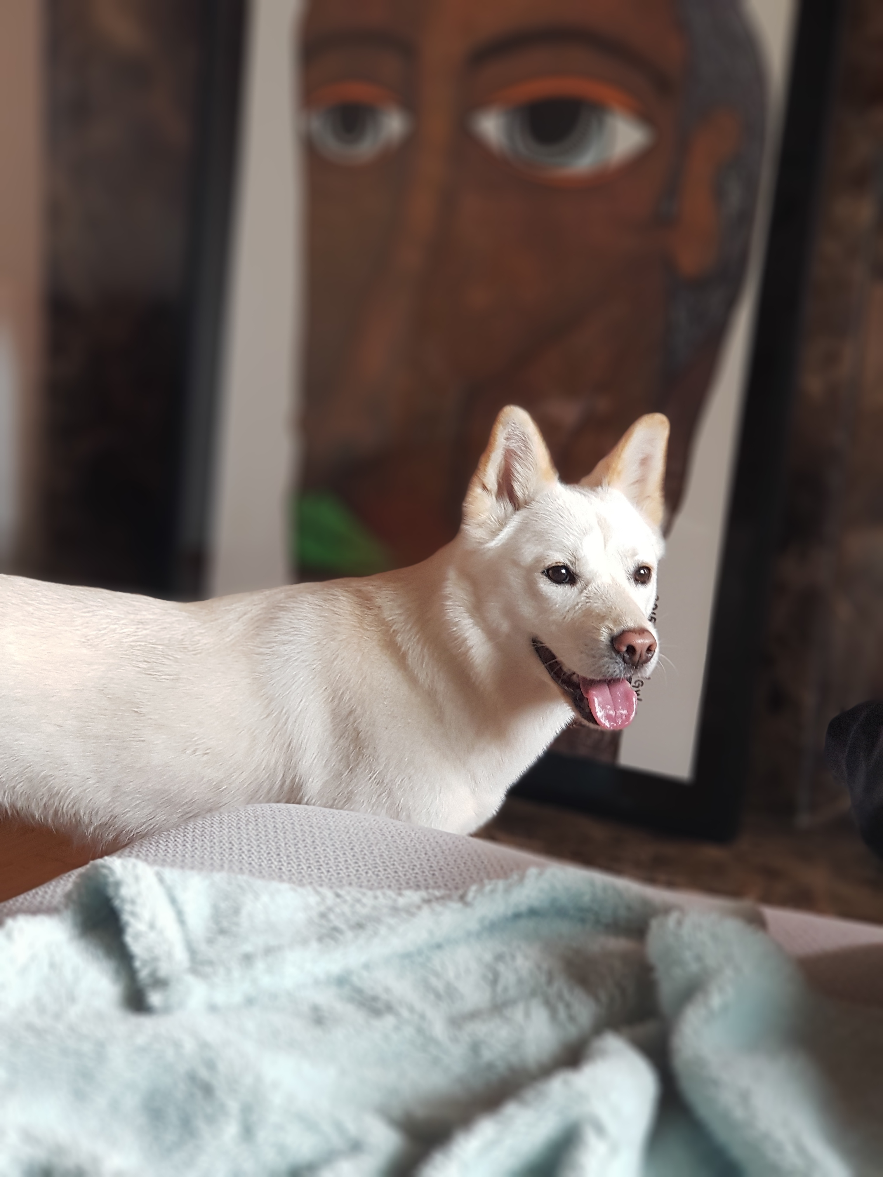 슈슈 그리고 쎄씨