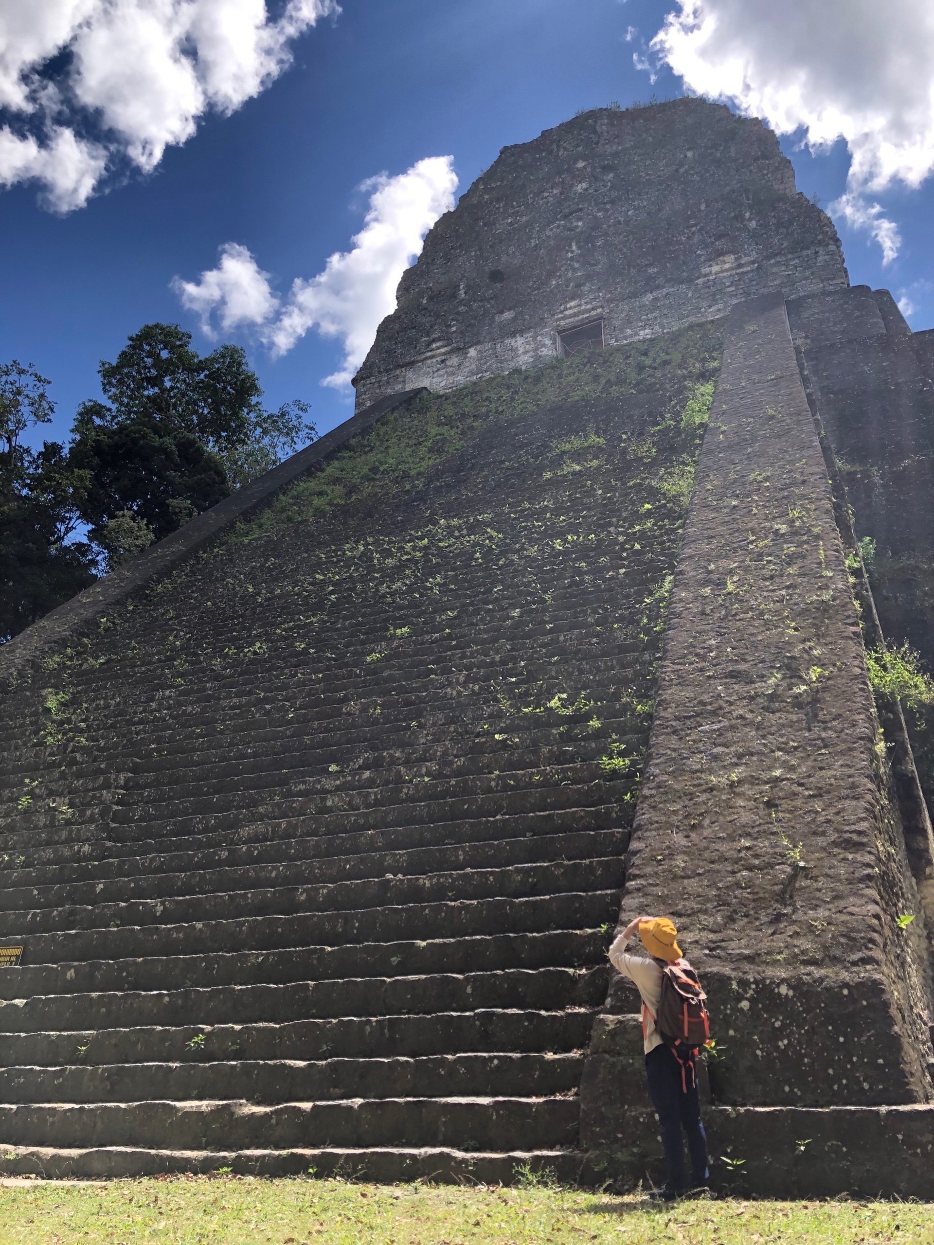 부지런하고픈 베짱이