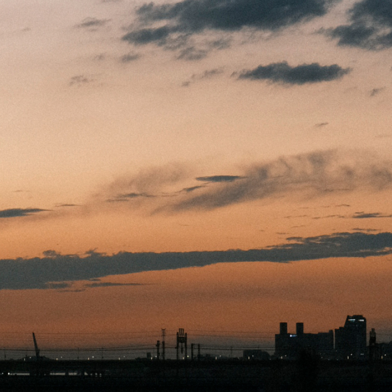 동기를 쫓는 그림쟁이