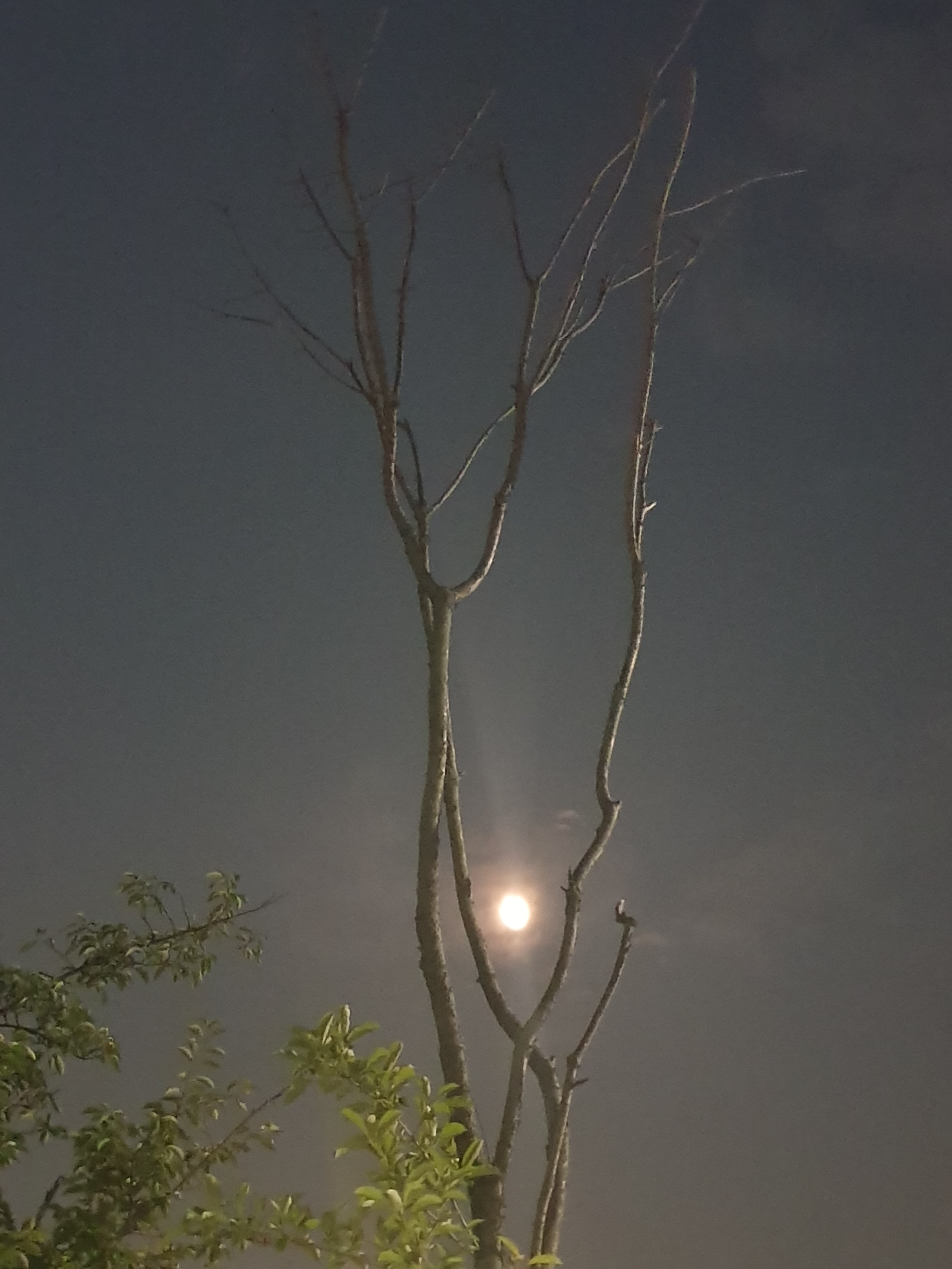 지성지앤비 이미지
