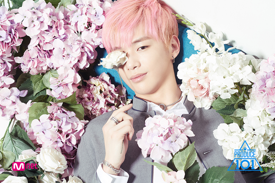 내 아들, 강다니엘 닮았으면 좋겠다 - 40대 워킹맘...