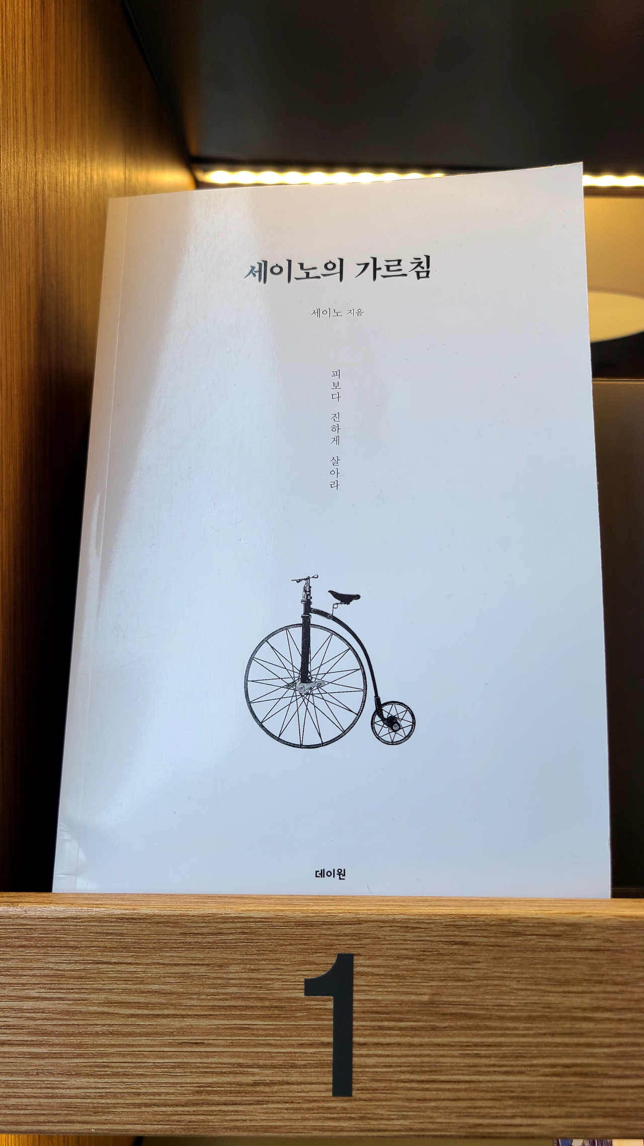 실존; 세이노를 Say No 하라.