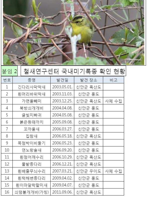 아낌없이 주는 나무와 소년은 과연... 행복했을까?