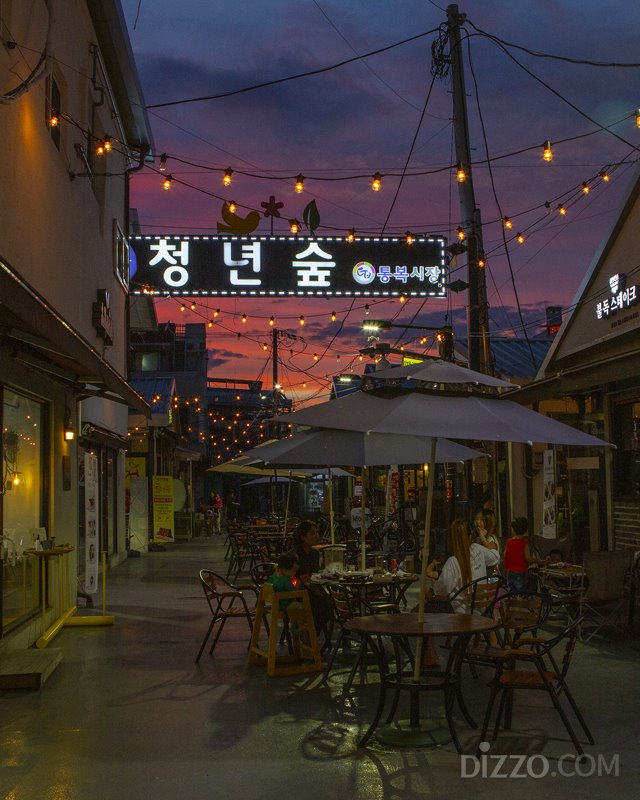 8월 한여름 밤에 가기 좋은 야간개장 명소 8곳
