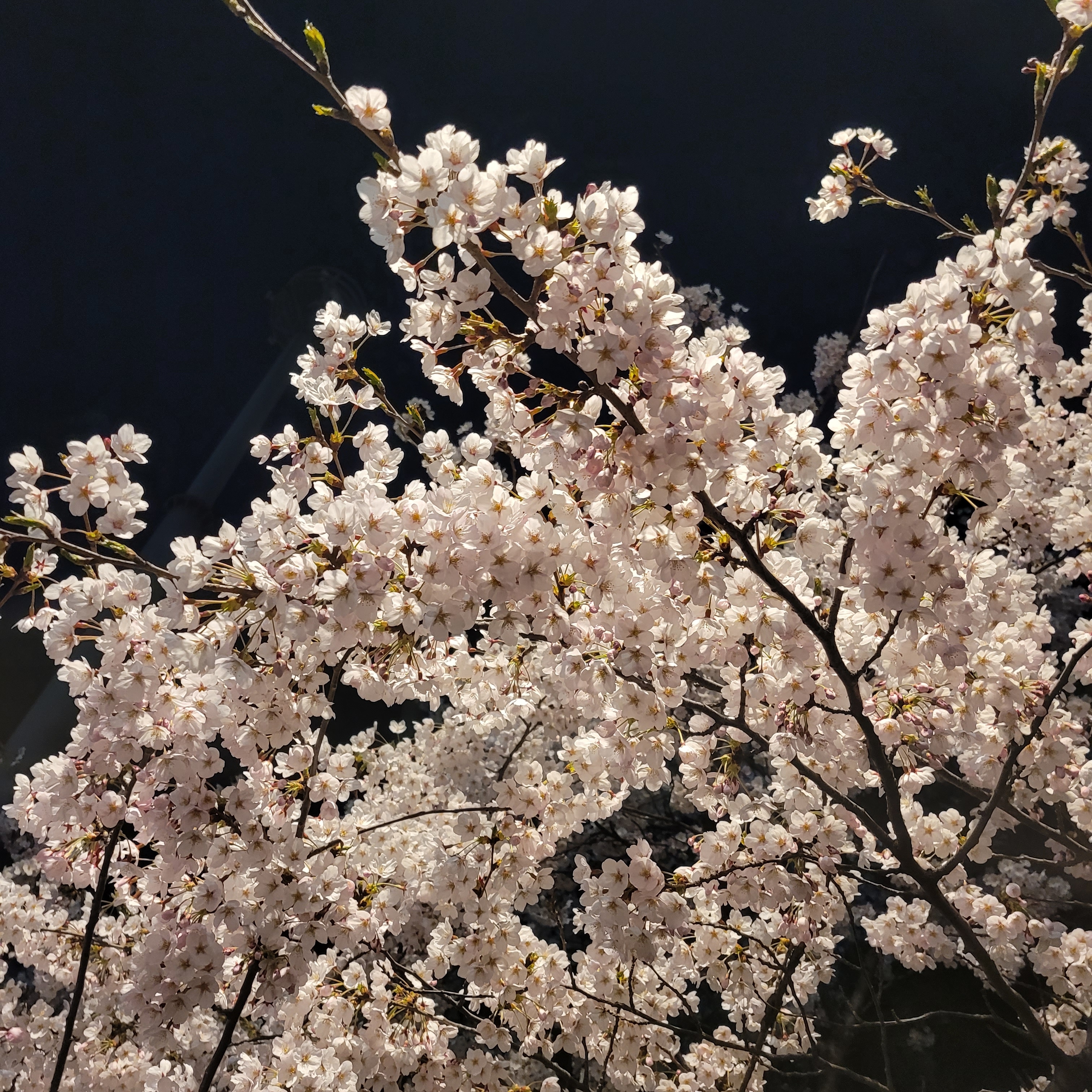 혼돈의 대학원생