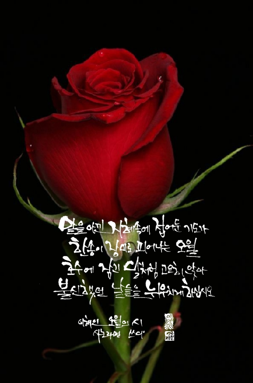 오월의 시 - 이해인