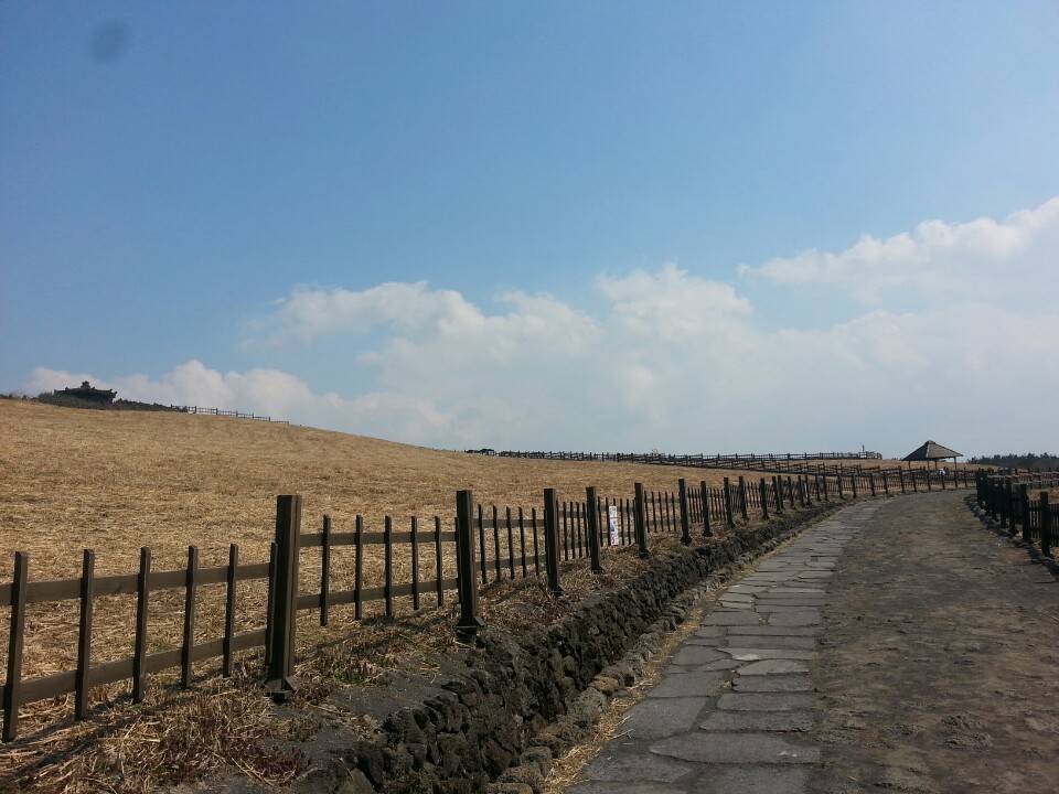 쒼나는 제주도 여행