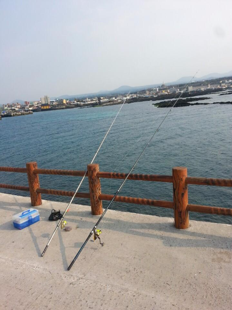 쒼나는 제주도 여행