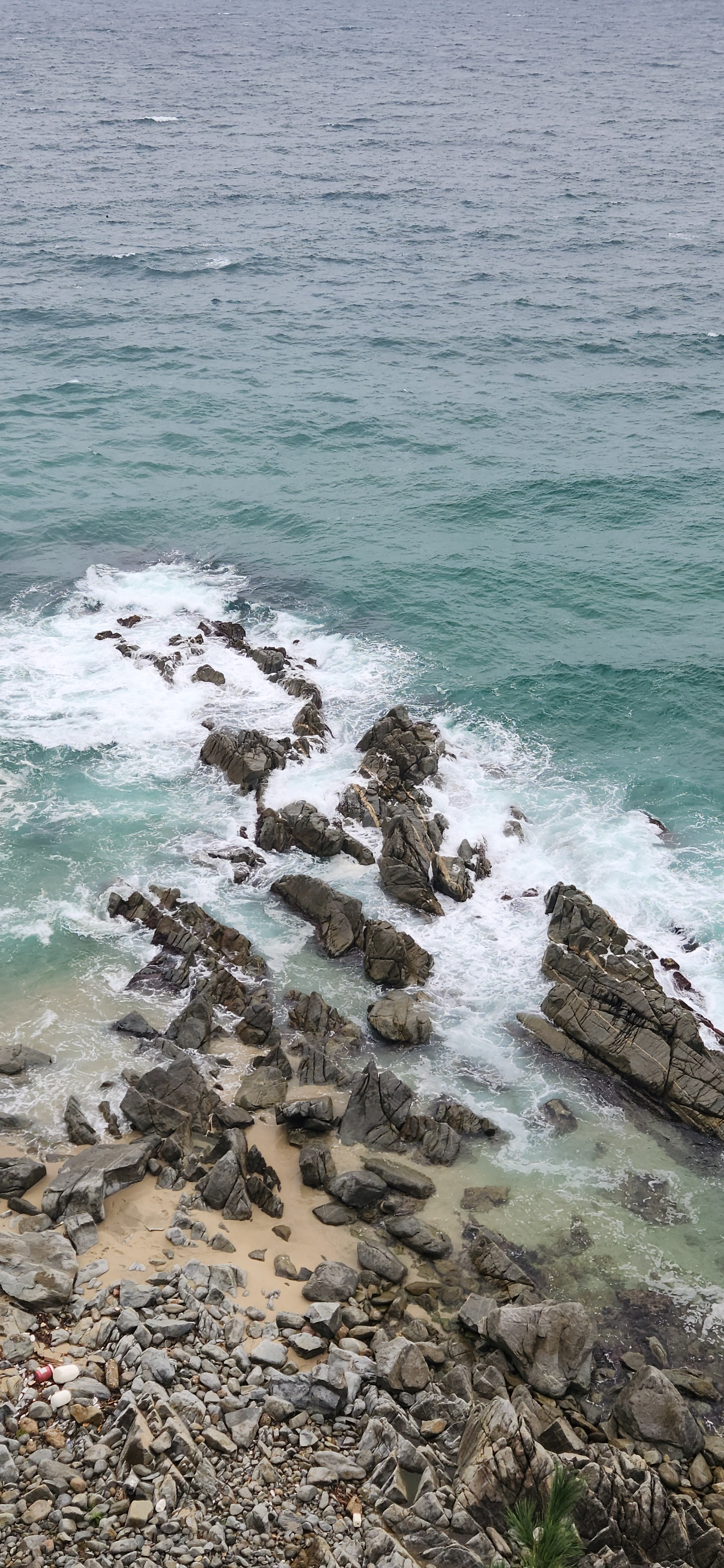 덕업일신 망라사방