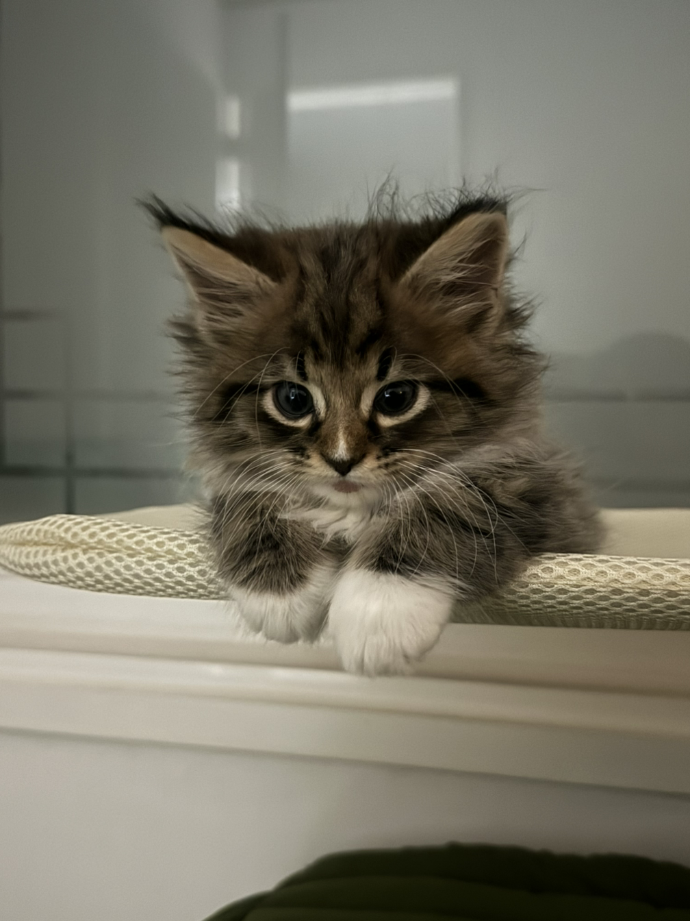 동구박과수원길