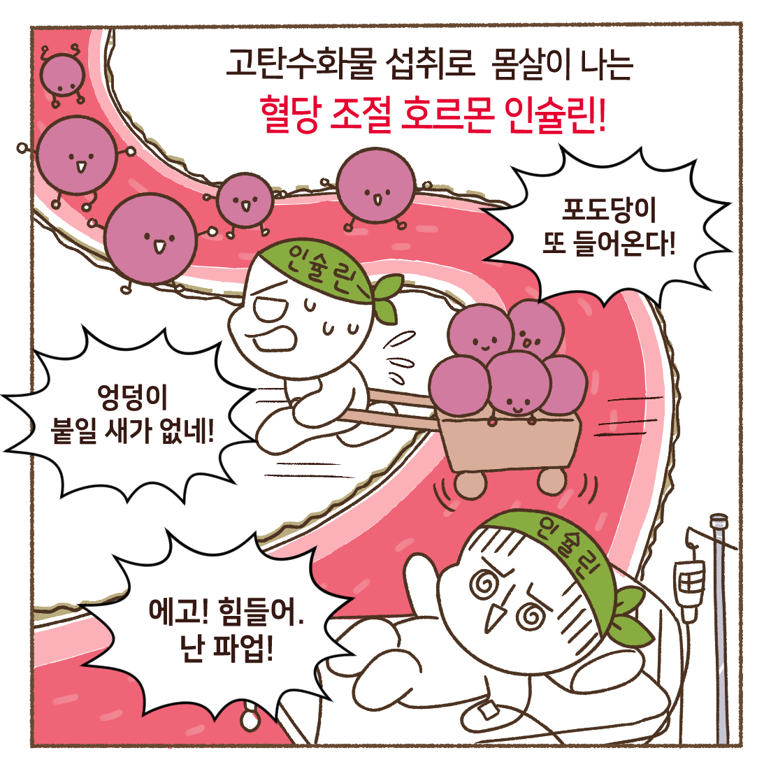 키토라이프 이미지