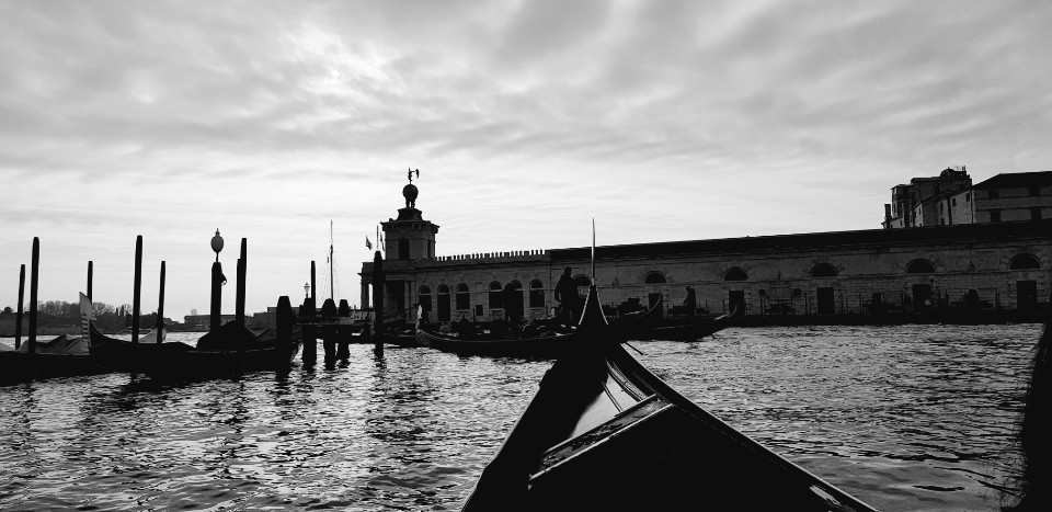 디어마이프랜즈