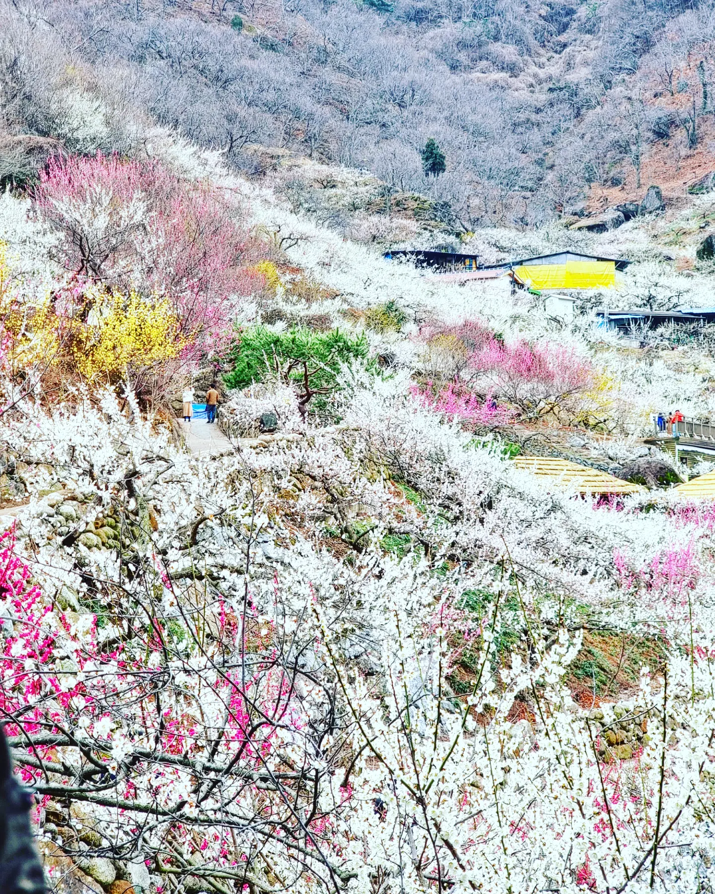 그날의꽃 이미지