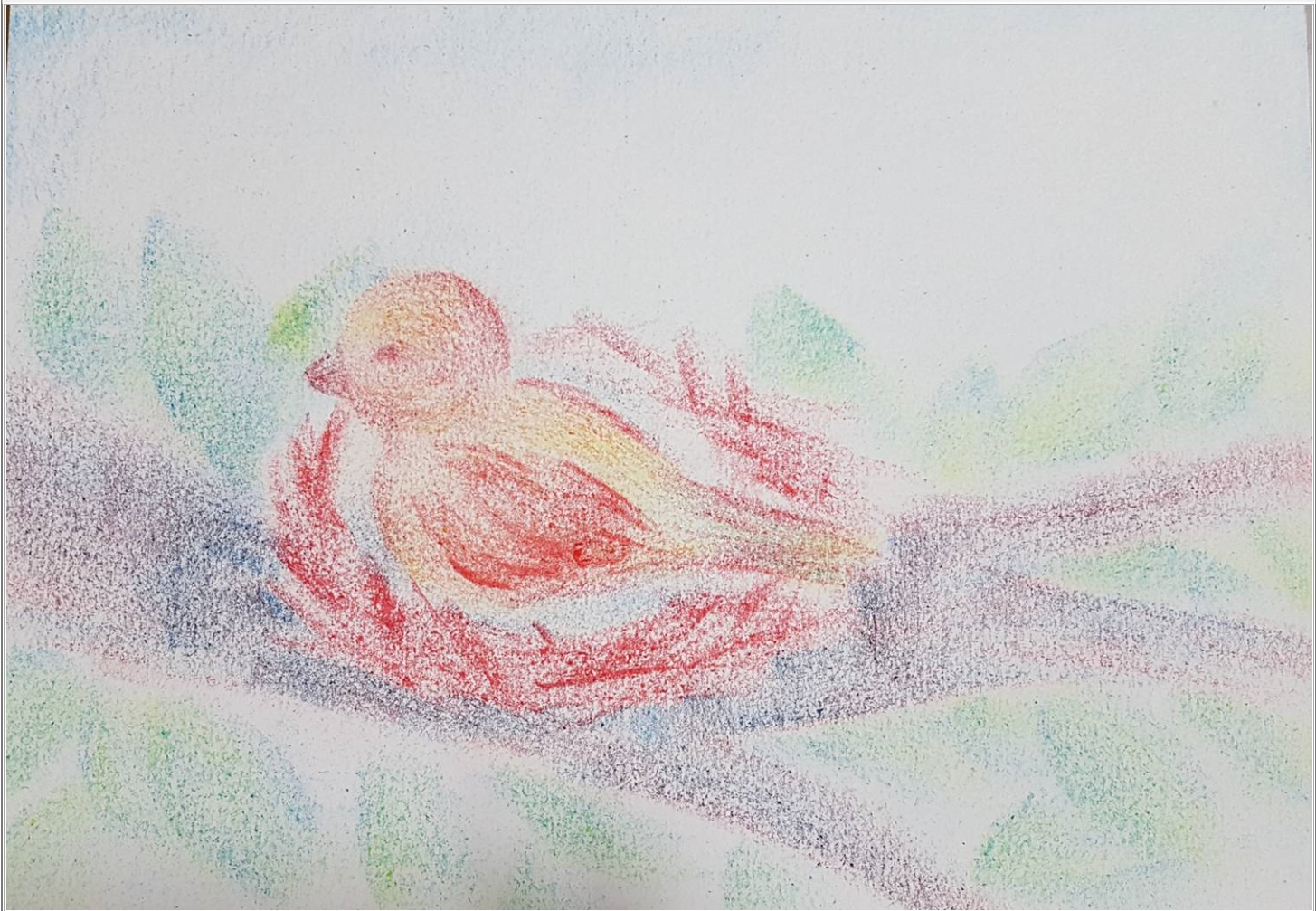 비정상의정상화