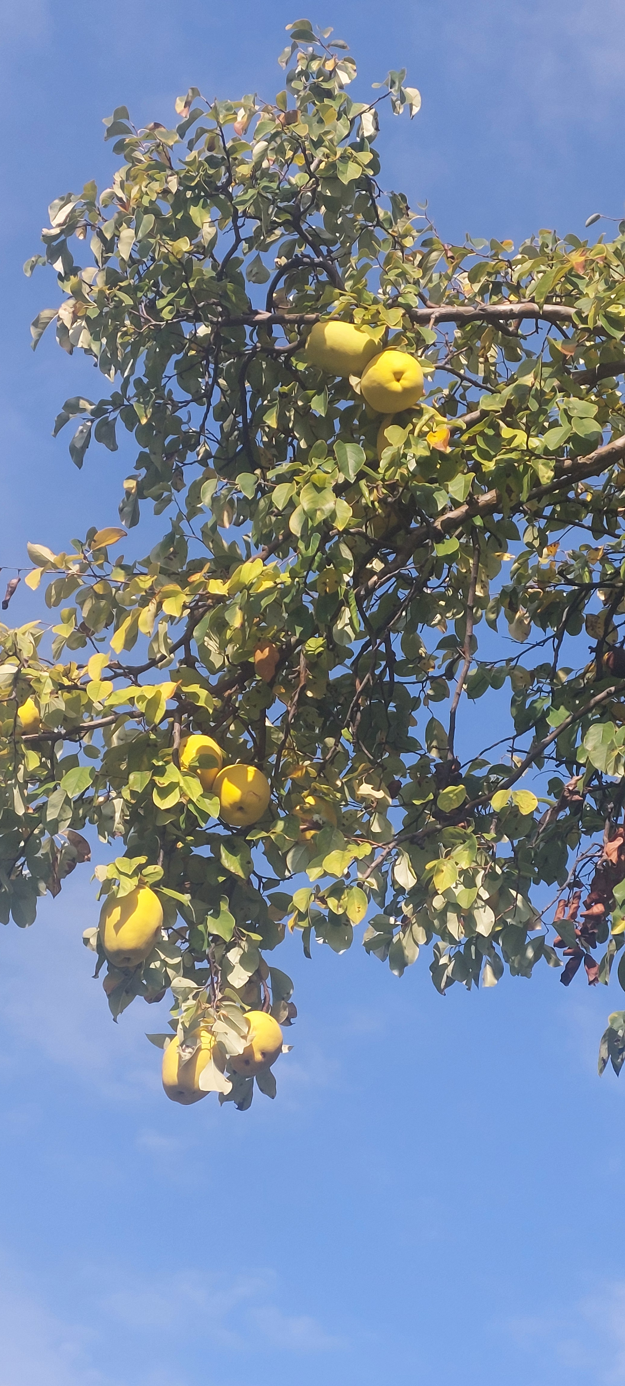 아임파인땡큐앤유