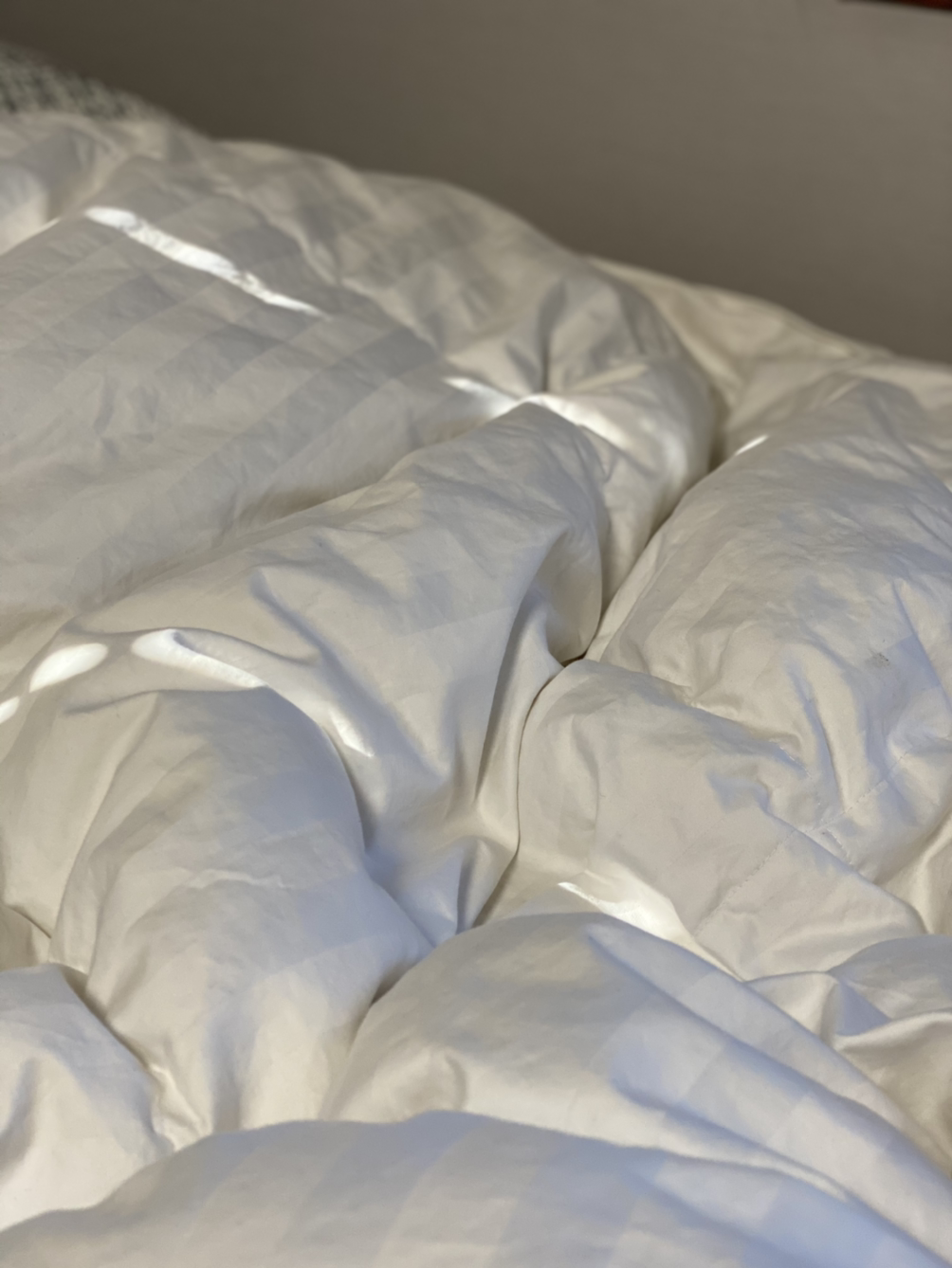 큰 시금치덩어리