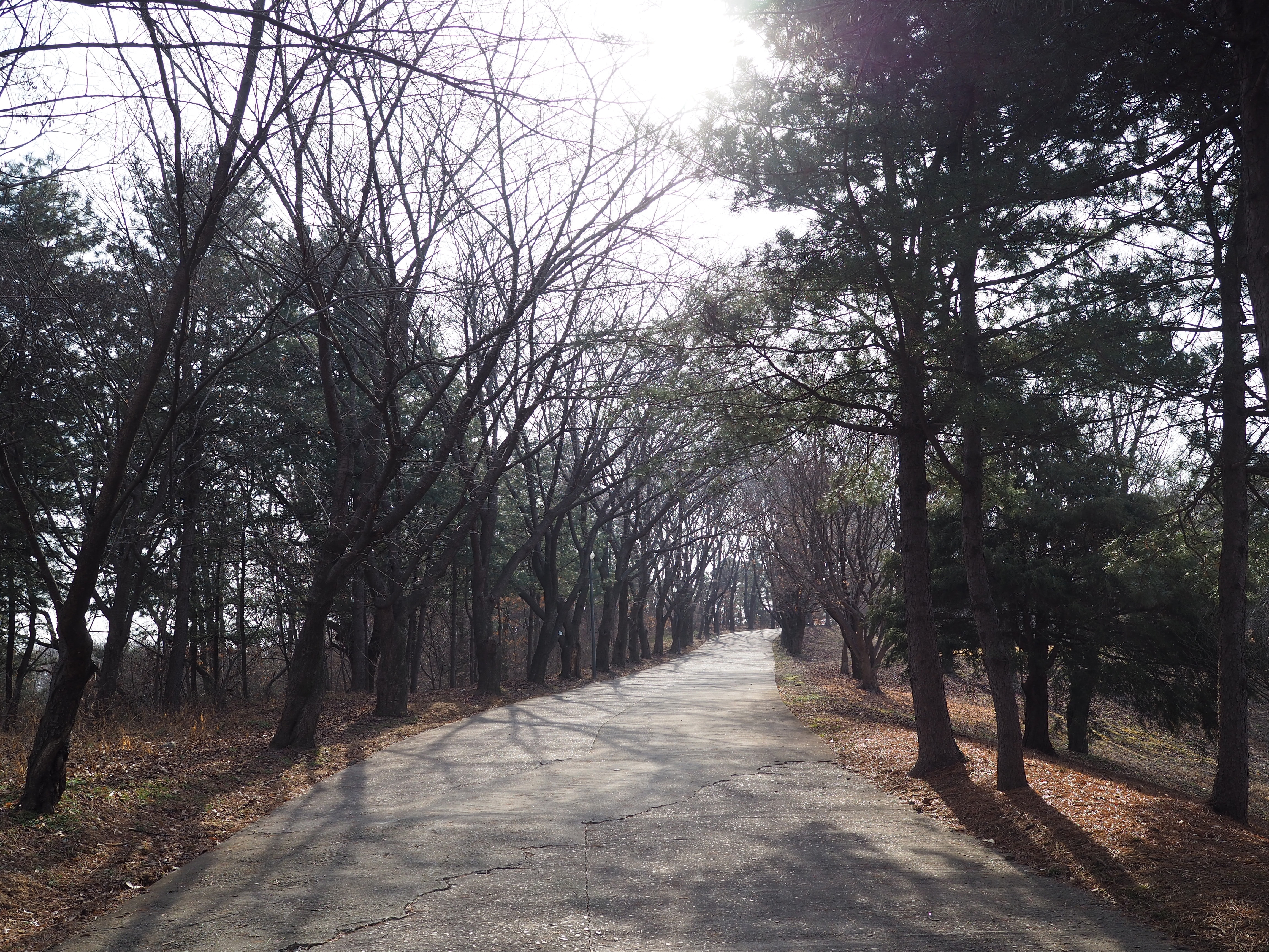 05화 성심당 없는 대전 여행 2편 x 카이스트와 소제동