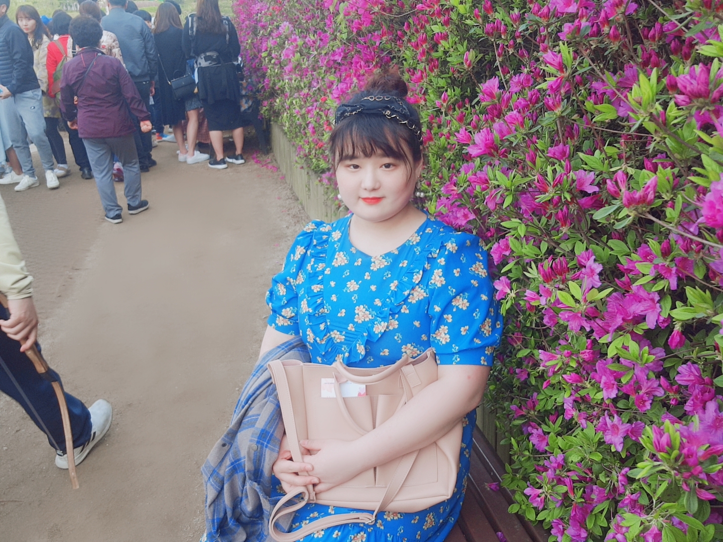 노랑홀리