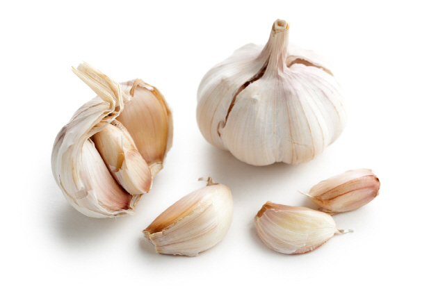 Garlic