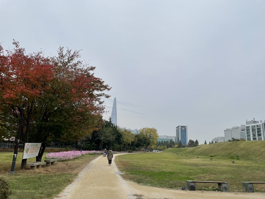 토성사우나 이미지