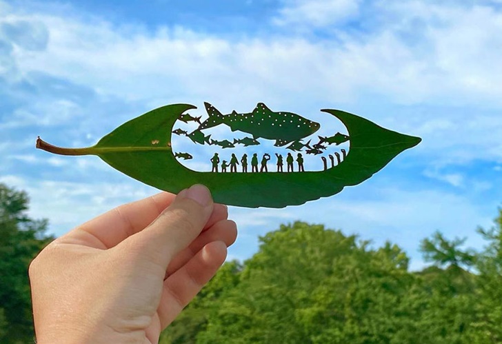 아티스트디테일 이미지