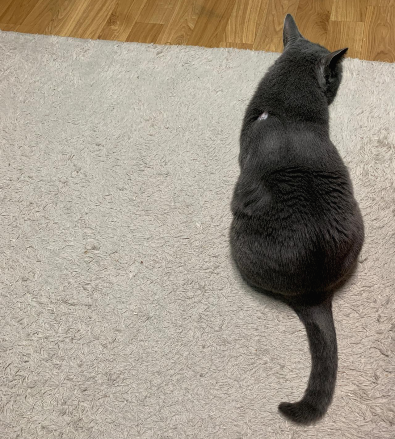 컵히커피 이미지